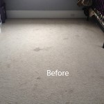 Cranberry Juice Stain Removal West Palm Beach A