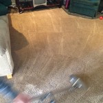 Dirty-Carpet-Cleaned-West Palm Beach