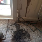 Oil-Stain-Removal-Before-West Palm Beach