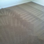 West Palm Beach-Carpet-Cleaning-Wall-To-Wall