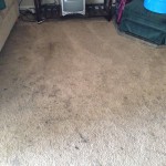 West Palm Beach-Dirty-Carpet