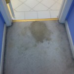 West Palm Beach-Vomit-1-before-carpet