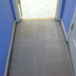 West Palm Beach-Vomit-2-after-carpet