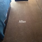 ink stain removal West Palm Beach-B