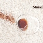 Stain-Removal-West Palm Beach Florida
