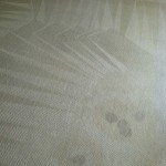 West Palm Beach-Wine-Stain-Carpet-Cleaning